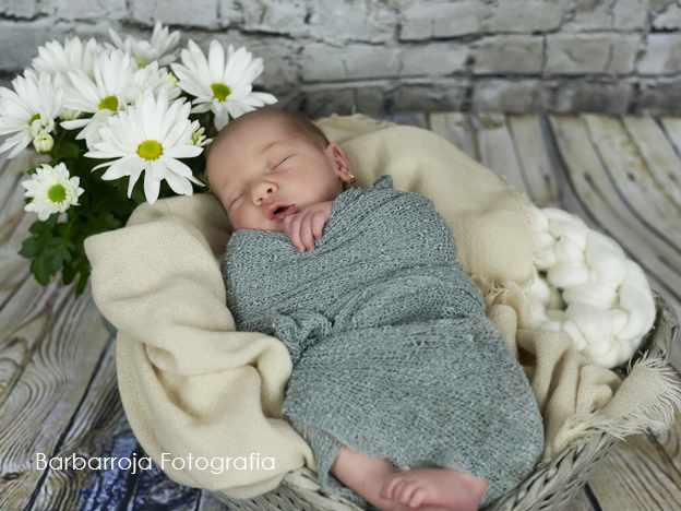 fotografía newborn